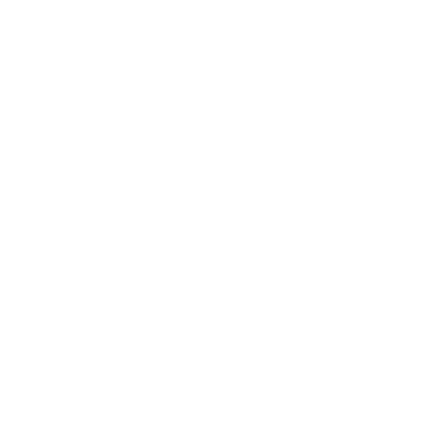 Logo Icon