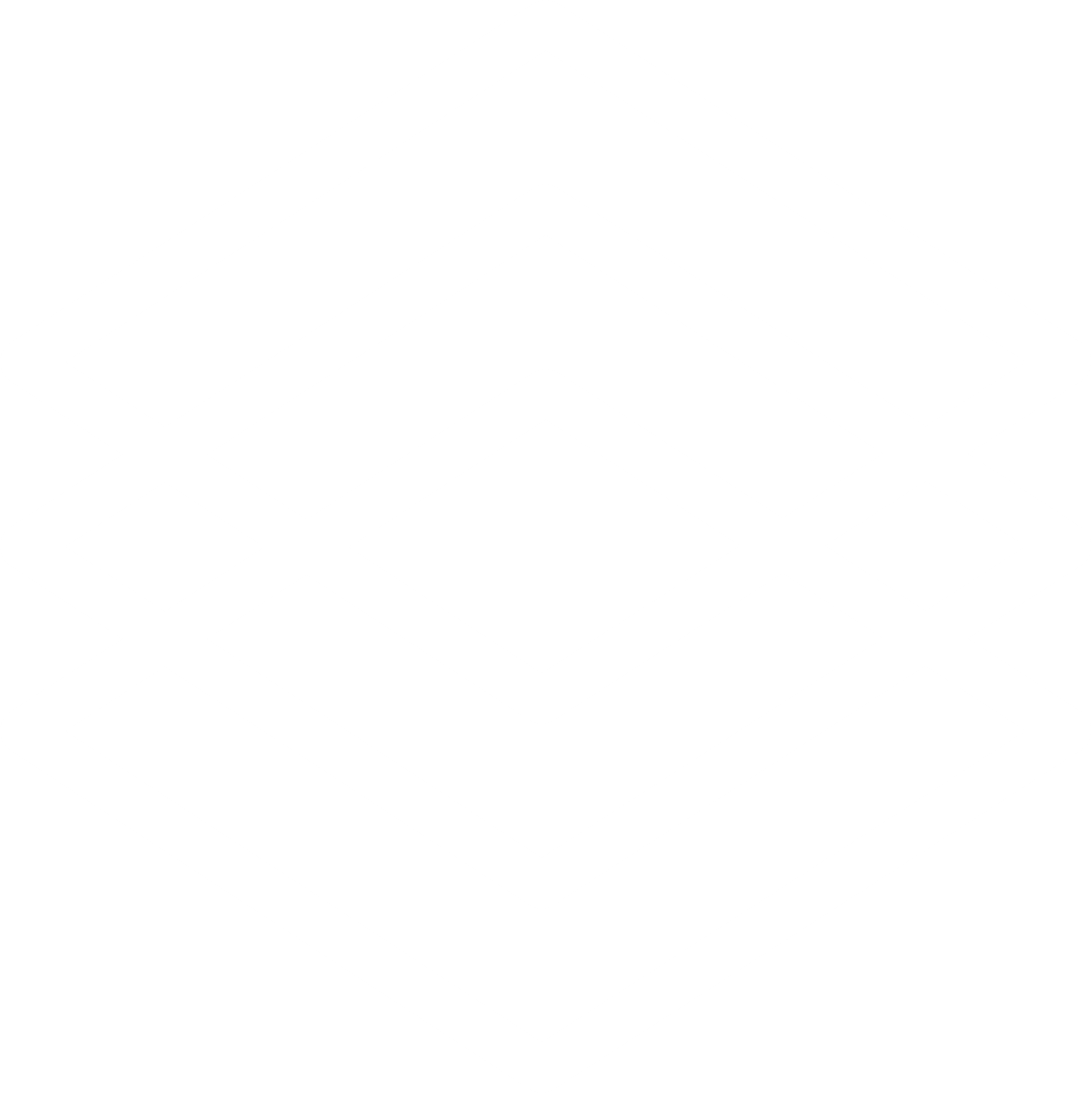 Logo Icon