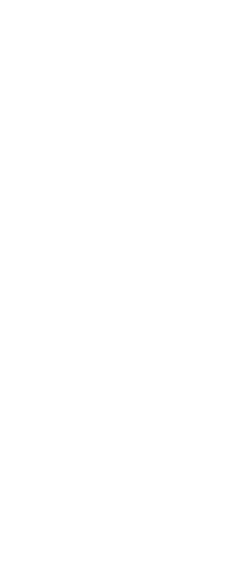 Logo Icon