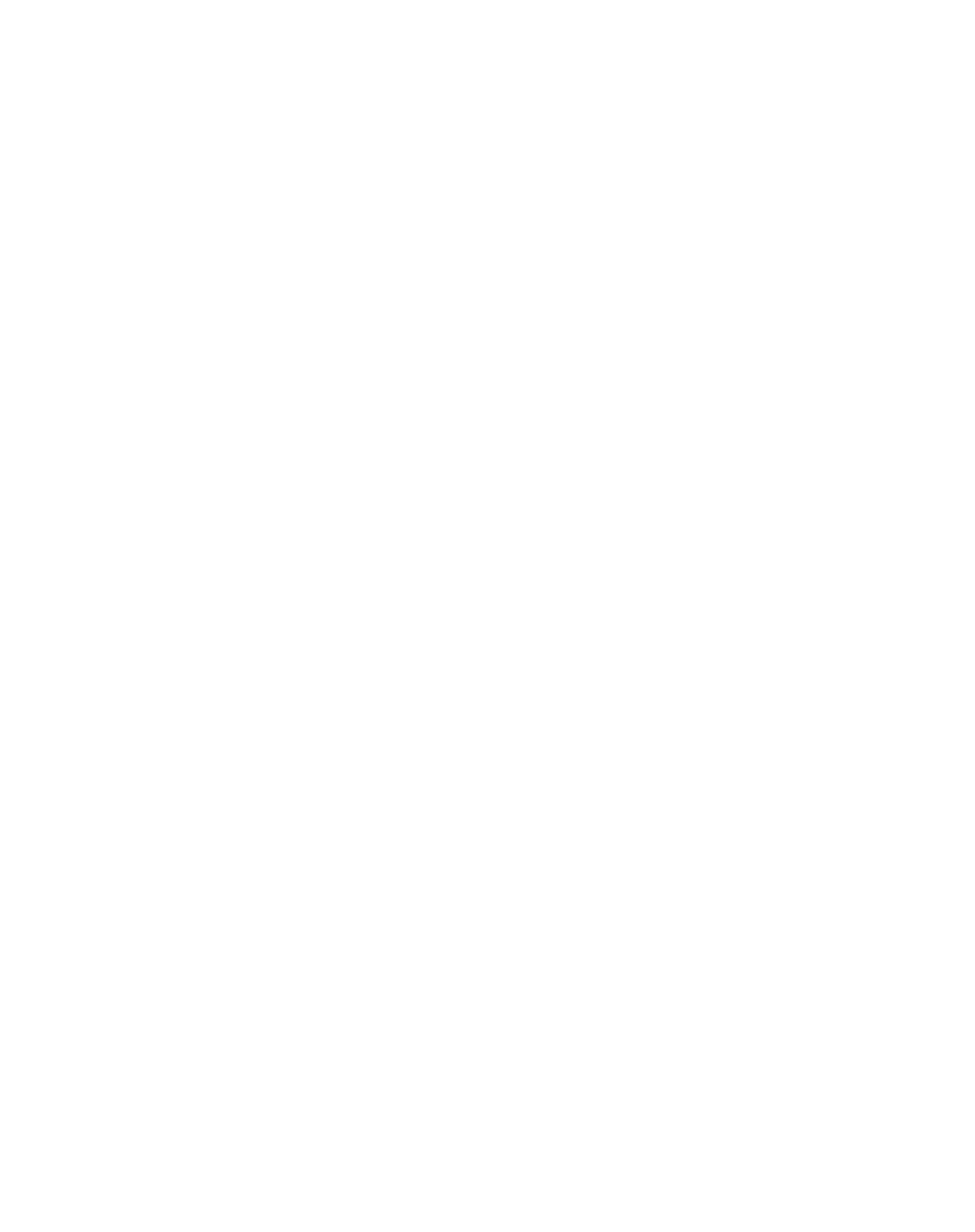Logo Icon