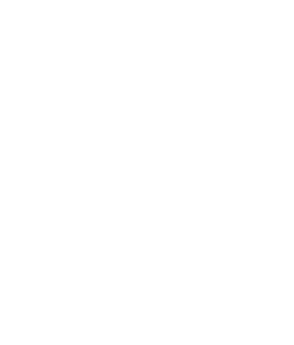 Logo Icon